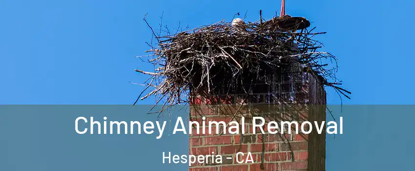  Chimney Animal Removal Hesperia - CA