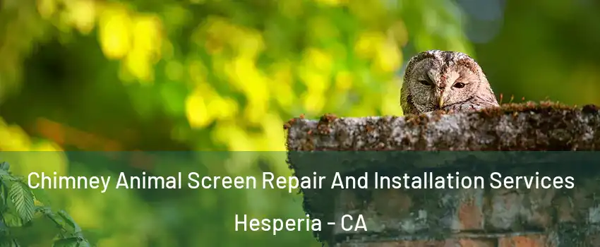  Chimney Animal Screen Repair And Installation Services Hesperia - CA
