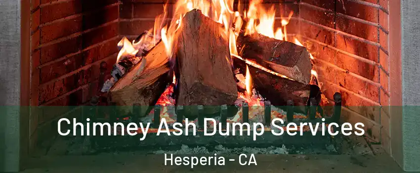  Chimney Ash Dump Services Hesperia - CA