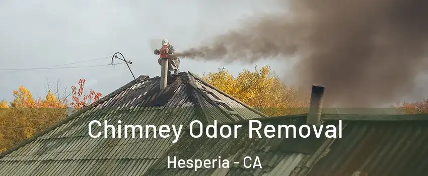  Chimney Odor Removal Hesperia - CA