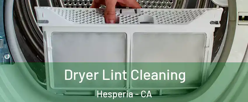  Dryer Lint Cleaning Hesperia - CA