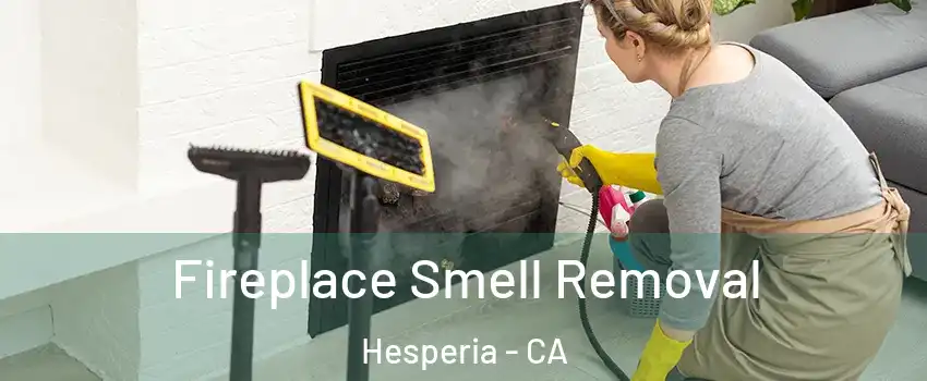  Fireplace Smell Removal Hesperia - CA