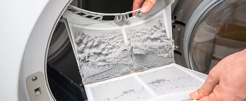 Best Dryer Lint Removal Company in Hesperia, California