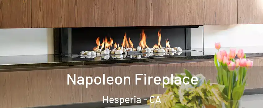  Napoleon Fireplace Hesperia - CA